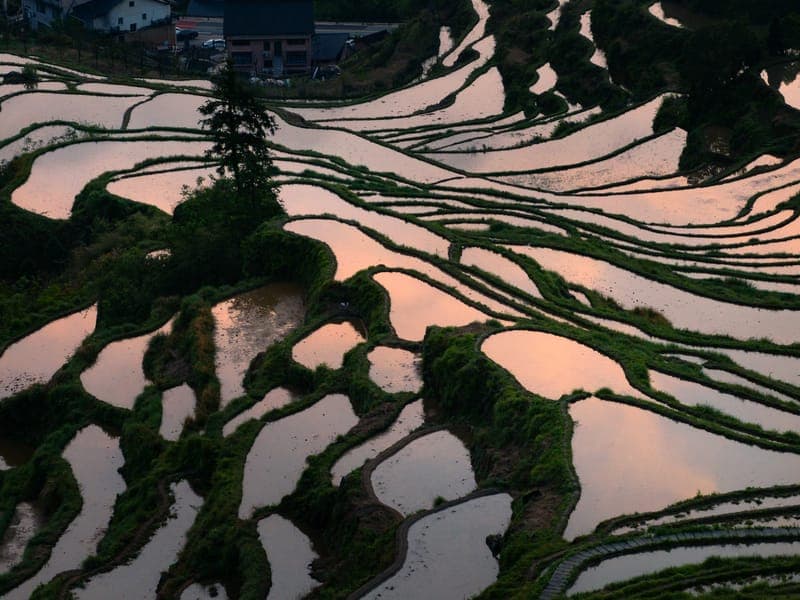云和梯田