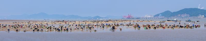 假日休闲，拾海瓜子